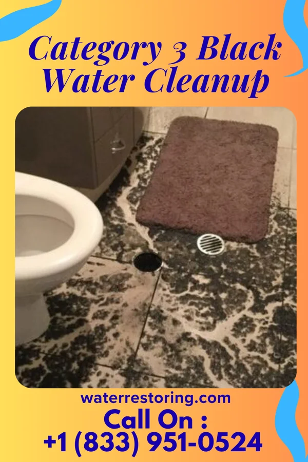 Category 3 Black Water Cleanup in Port Edwards, WI