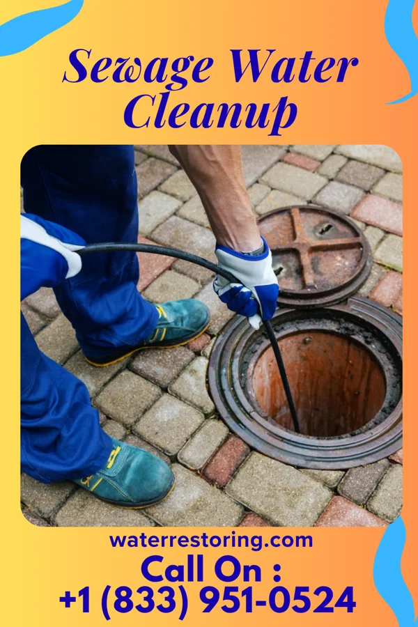Sewage Water Cleanup in Port Edwards, WI