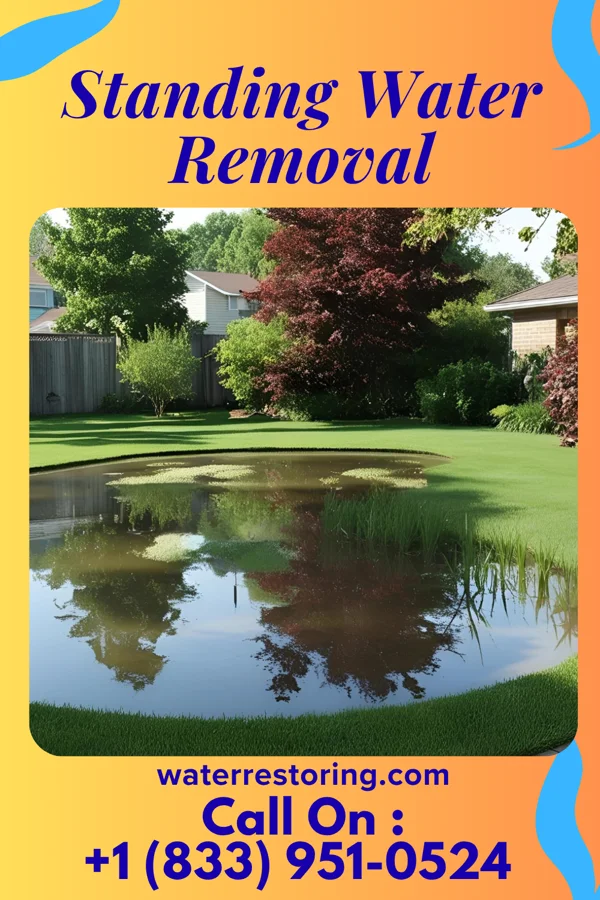 Standing Water Removal in Port Edwards, WI